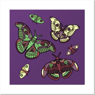 Moths Posters and Art